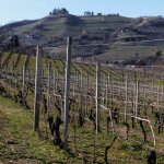 Le Langhe di Pavese - verso Seriole